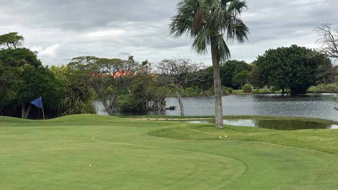 Cocotal Golf Course Punta Cana, offers excellent golf at great rates