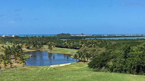 View from 8th teebox Coco Beach International Course